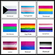 13 lgbtq pride flags and what they stand for. Large Lgbtq Pride Rainbow Flags Demisexual Transgender Pansexual Polysexual Gay Pride Genderfluid Lesbian Bisexual Asexual Pride Flag Banners Wish