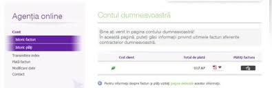 Romanii au facut cumparaturi online de peste 4,3 miliarde de euro in 2019. Cum PlÄƒtim Facturile De La UtilitÄƒÈ›i Online