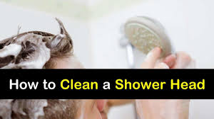 (this can usually be found near the point. 4 Reliable Ways To Clean A Shower Head