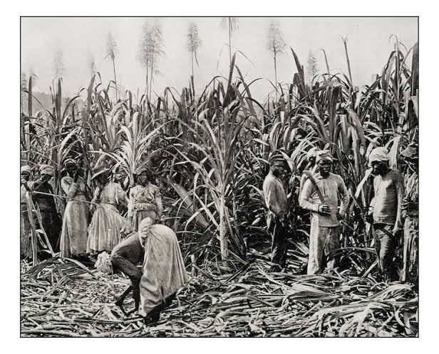 How British abolition of slavery led to India's indentured labour system - India Today