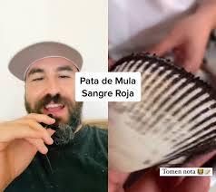 #dúo con @jeroyoshi Almeja Pata de Mula Sangre Roja #almeja #amoramarmx