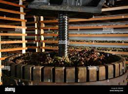 Wine press, Vin Santo first pressing, Cantina di Toblino cellar, Sarche,  Trentino Alto Adige, Italy Stock Photo - Alamy