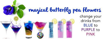 Maybe you would like to learn more about one of these? Wild Hibiscus Flowers In Syrup Flower Extracts B Lure Heart Tee Wild Hibiscus Flower Co