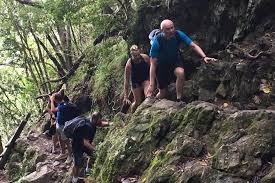 On the day we visited, colourful wedding parties were posing at. Skeleton Gorge To Table Mountain Cableway Full Day Hike 2021 Cape Town