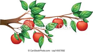 • next, distribute the tree drawings to the students making sure that no student receives their own tree drawing. Apple Tree Stock Illustrations 23 133 Apple Tree Clip Art Images And Royalty Free Illustrations Available To Search From Thousands Of Eps Vector Clipart And Stock Art Producers