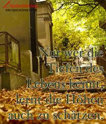 Nur Wer Die Tiefen Des Lebens Kennt Lernt Die Hohen Auch Zu Schatzen Zitat Von Die Tagesrandbemerkung