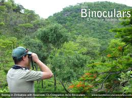 Maybe you would like to learn more about one of these? Best Bird Watching Binoculars 2021 The Best Binoculars For Bird Watching