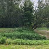 Robert's Bluff Camping