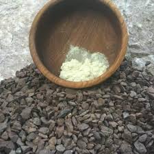 Image result for Synaptolepis