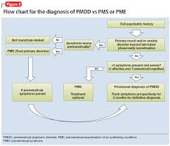 The Etiology Of Premenstrual Dysphoric Disorder 5