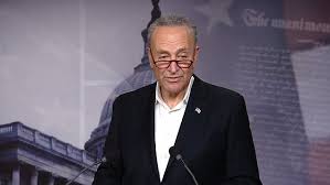 Schumer's personal life has been full of blessings lately. Trump Goes After Schumer S Newlywed Daughter For Working For Facebook Daily Mail Online