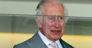 Charles Was 'Reduced to Tears' by Public's Reaction to His Cancer  Diagnosis, New Book Reveals
