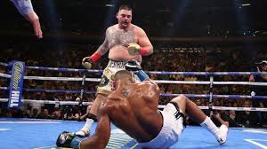 See more ideas about boxing history, boxing champions, world boxing. Boxen Weltmeister Mit Plauze Sport Sz De