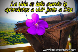 Resultado de imagen para imagenes de la vida es bella