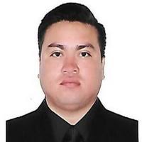 PDF) Optimización de parámetros para la obtención de néctar a partir de  guanábana (anona muricata l), con fines de aceptación, por metodología de  superficie de respuesta