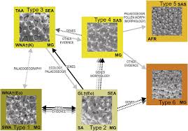 Image result for Aponogeton desertorum