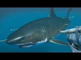 Stranded deep megalodon boss fight is not a easy mission to do, and is also difficult the find to location of this monster! Pin On Mostly Not Real Sea Creatures
