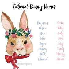 Black And White Bunny Names Boy Fictional Bunny Names Cute Animal Names Bunny Names Pet Bunny
