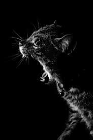 Oled Wallpapers For The Iphone X Google Pixel 2 Galaxy S8 Galaxy Note 8 Lg V30 And Others Phonearena Here are only the best 4k dark wallpapers. oled wallpapers for the iphone x