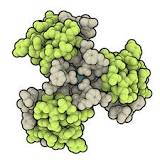 Insulin degludec - Wikipedia