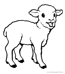 Draw a sheep coloring page. Lamb Animals Printable Coloring Pages