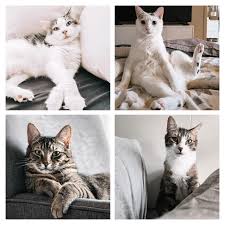 I Want truth transparency and just not dumb ass dudes who at 50 60 years  old can't act and be a grown ass MAN! So Man up!