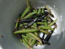 Ca Pousse Plantes Sauvages Comestibles Haricots Verts Cuisine Sauvage