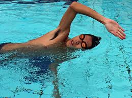 Learn to draw a swimmer. How Do You Swim Freestyle Or Front Crawl Activesg