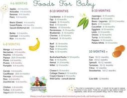 solid food chart for babies aged 4 months through 12 months