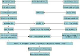 Lumbar Degenerative Disease Musculoskeletal Key