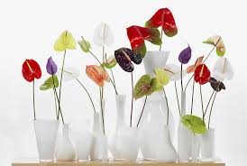 Valentine's day has its origins as an ancient agriculture and human fertility festival. The Best Flowers For Valentine S Day