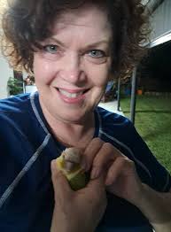 So happy. They have been found and they are home safe. Poor Mango is  petrified of the fireworks. Thanks everyone.