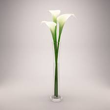 We did not find results for: Calla Lily Tall Vase 3d Model 15 Max Obj 3ds Free3d
