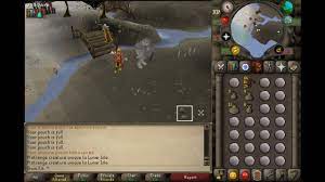 Any slayer tasks that can be found in the stronghold slayer cave, the chasm of fire, the kalphite hive and things like dagannoths, suqahs and trolls can all be. I Think Somebody Broke This Suqah Old School Runescape Youtube