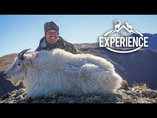 18 Years In The Making, Colorado Mountain Goat Hunt with TJ Sanchez - YouTube