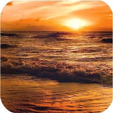 Download and use 100,000+ beach background stock photos for free. Amazon Com Beach Wallpapers And Backgrounds Appstore For Android