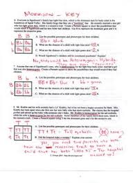 Aug 10, 2020 · genetics and punnett squre practice worksheet with answer key : Phineas Sosa Justinsosa2615 Profile Pinterest