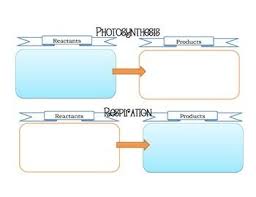 Respitation And Photosynthesis Reactants Organizer Photosynthesis Photosynthesis And Cellular Respiration Cellular Respiration