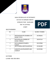 Drama ini menceritakan sekelompok pemuda yang berasal dari keluarga yang sangat kaya yang tidak mementingkan perasaan orang lain dan. Contoh Skrip Mandarin Tmc501