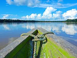 Image result for Afroqueta