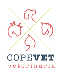 CLINICA VETERINARIA C - VET (CURACAVI)