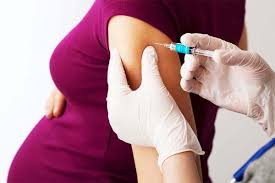 Los Epidemiologos Inciden En La Importancia De La Vacuna Frente A Gripe Y Tosferina En Embarazadas Diariofarma