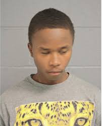 ᐅ Illinois Criminal Records 2009-2025