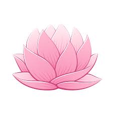 Water lily (nymphaea sp.) greeting card for sale by dr. Water Lily Stock Photos And Images 123rf