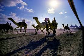 Who knows it just might catch on. Child Camel Jockeys The Environmental Press Agency