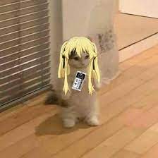 Maybe you would like to learn more about one of these? Cahaya Silfi Cahayasilfi Profil Pinterest