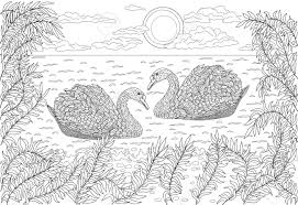 Hundreds of free spring coloring pages that will keep children busy for hours. Hand Drawn Birds Two Swans Swimming In A Pond Coloring Page For Adult Royalty Free Cliparts Vectors And Stock Illustration Image 54992065