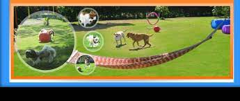 North of boston and south of boston. Happy Tails Pet Resort Home Facebook