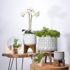 #wilhelm schiller & sohn #ws&s #majolica #jardiniere #flower stand #1870s #1880s #1890s #1900 #antique. Room Interior Decorative Modern Flower Pots Jardiniere Cement Plant Pot With Stand For Holder Buy Plant Pot With Stand Decorative Plant Pots Indoor Flower Pot With Stand Product On Alibaba Com