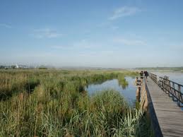 It is surrounded by moorland, partial. Bildergalerie Uber Die Federseenatur Nabu Federsees Webseite